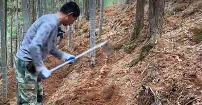 Backfill soil