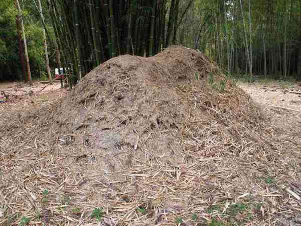 Bamboo Shavings in Gardening