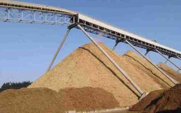 Bamboo pulp