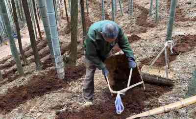 Place bamboo shavings dispose bamboo shavings