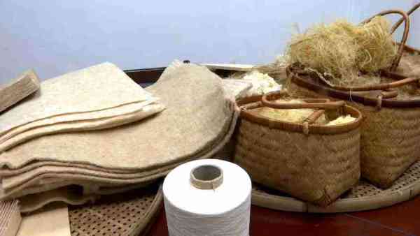 Extracting and Processing Bamboo Fibers