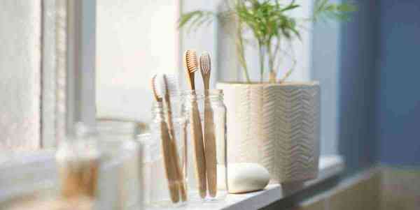 bamboo sustainable