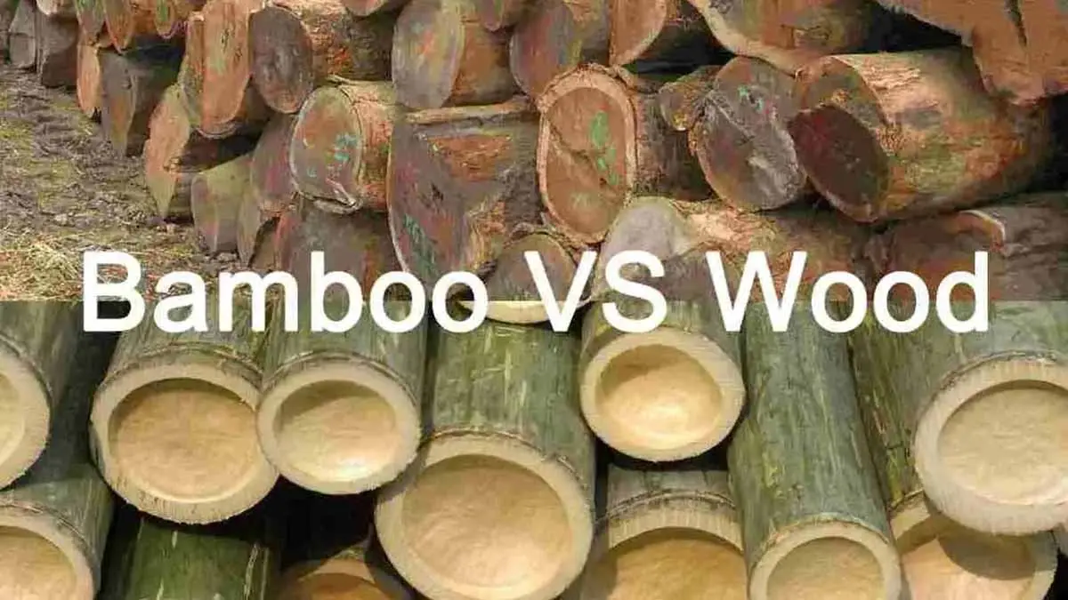 Bamboo VS wood