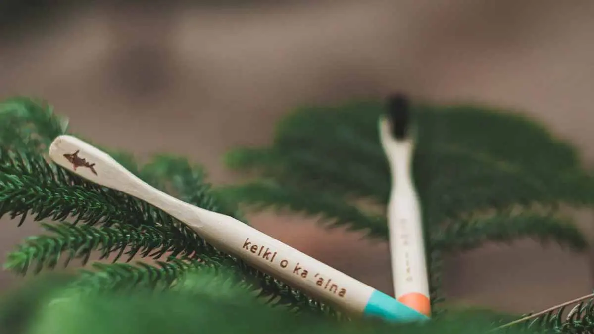 Disadvantages of bamboo toothbrushes
