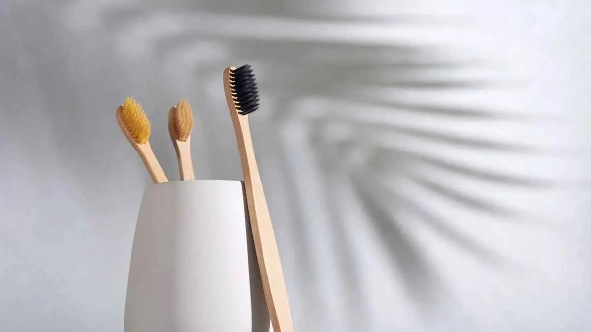 bamboo toothbrush care