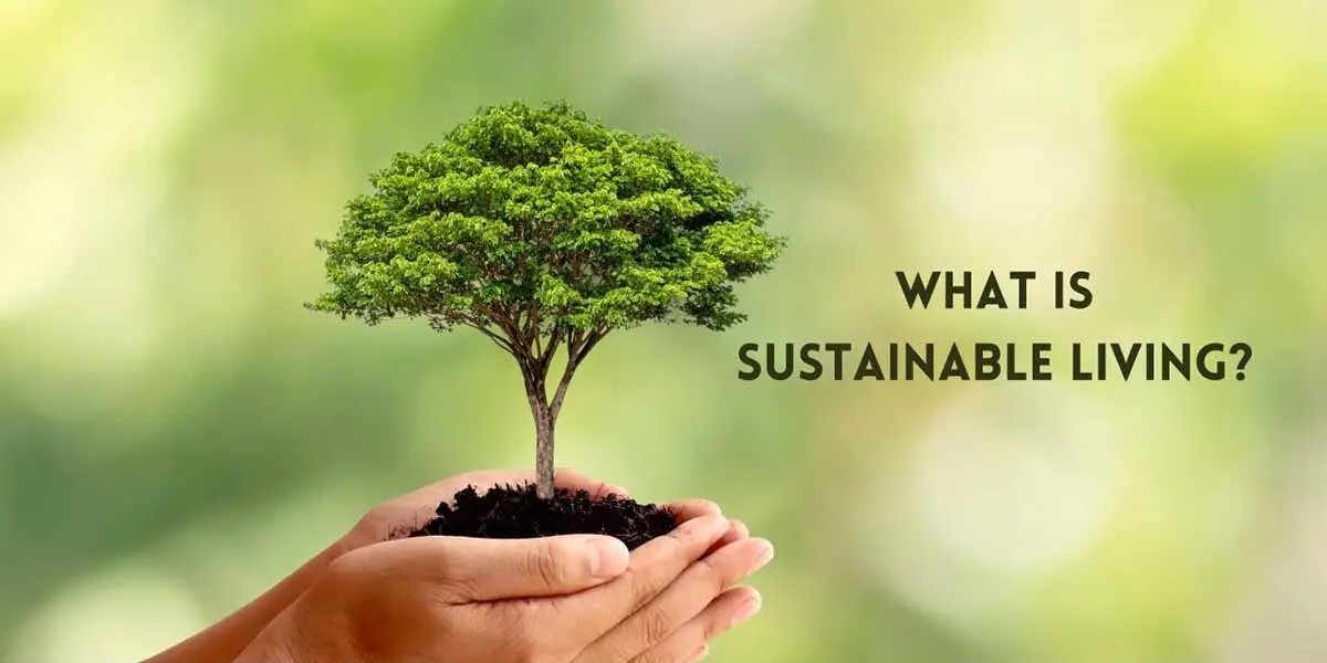 The Rise of Compostable and Recyclable Toothbrushes